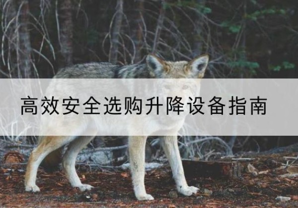 泰宁升降货梯厂家推荐-*安全选购升降设备指南