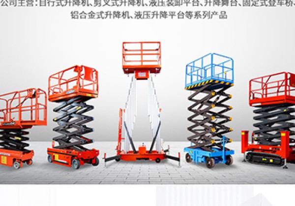 泰宁​出口成为核心增长引擎