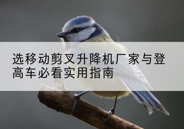 泰宁电动升降机厂家-选移动剪叉升降机厂家与登高车必看实用指南