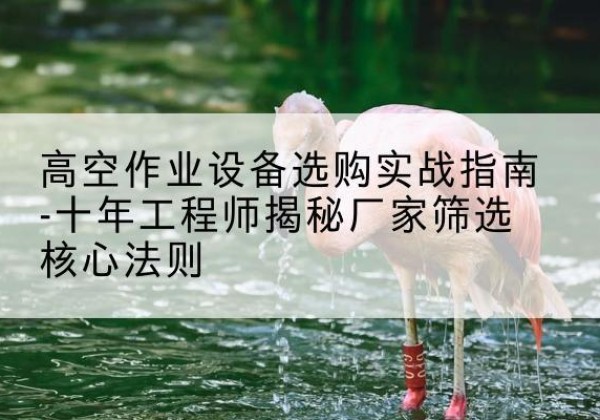 泰宁剪叉式升降机厂家-高空作业设备选购实战指南-十年工程师揭秘厂家筛选核心法则
